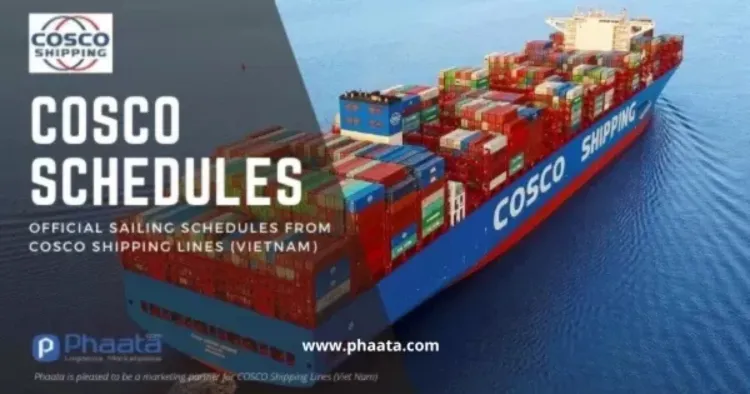 Digital interface showing a COSCO sailing schedule search result