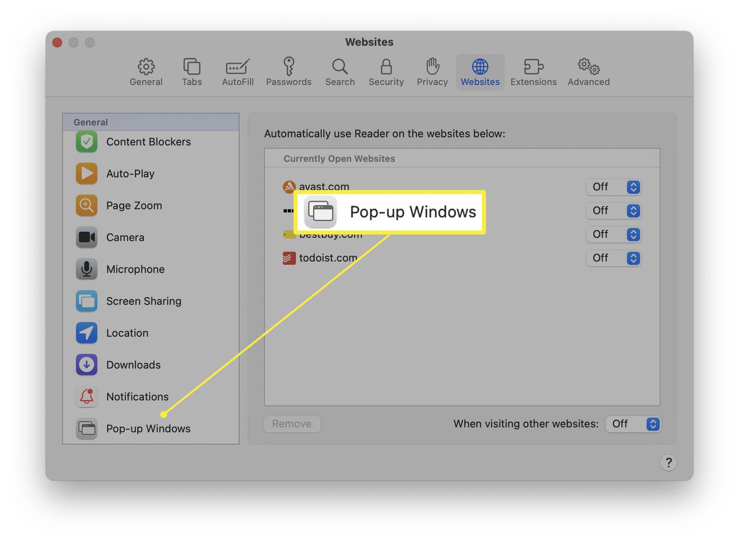 Safari browser settings menu on a Mac showing the Websites tab and Pop-up Windows configuration