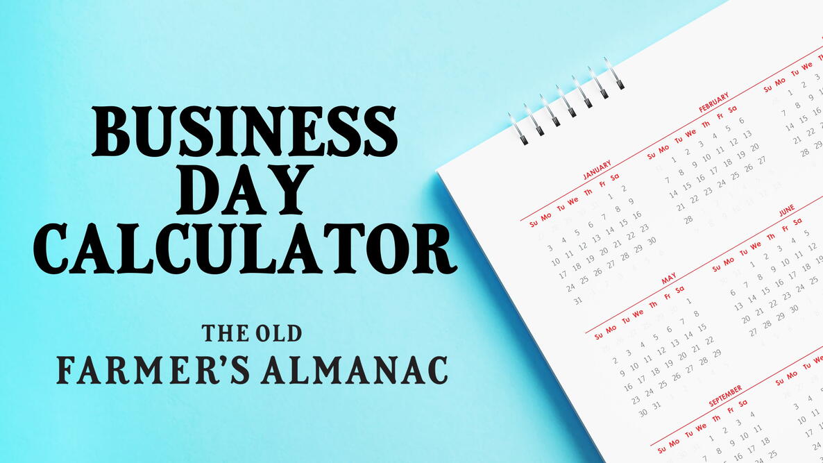 20 Business Days From Today: Date Calculator and Deadline Guide