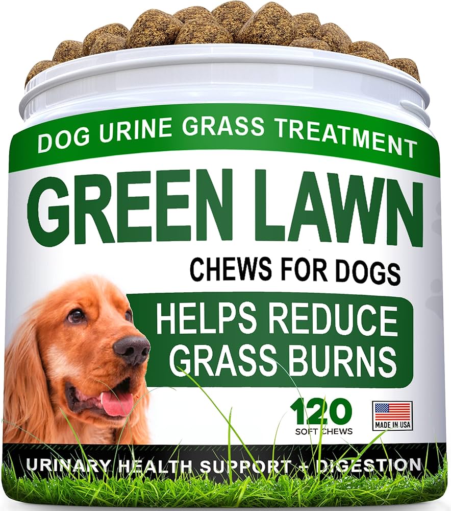 Best Lawn Care Products for Dog Urine