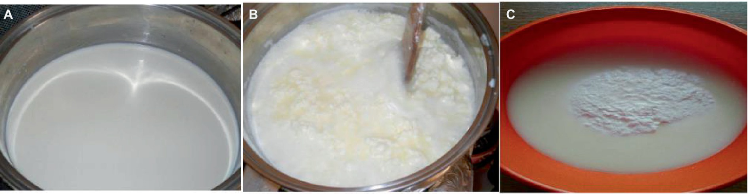 Scientific analysis of sheep curd cheese characteristics