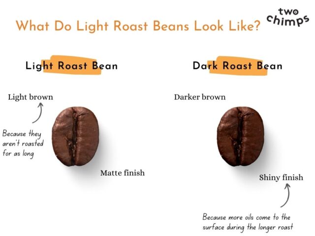What Is Light Roast Coffee and How Does It Actually Taste?