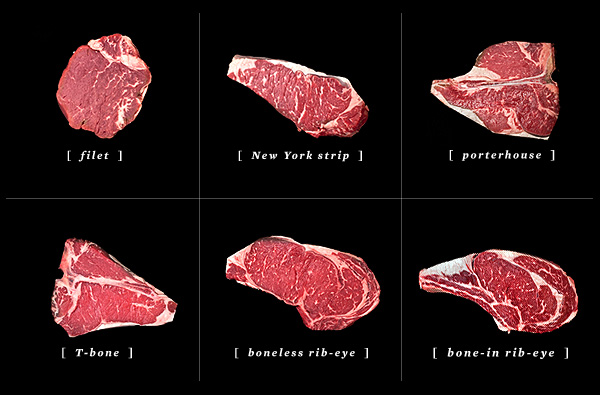 Anatomy diagram of a cow highlighting the rib and short loin sections