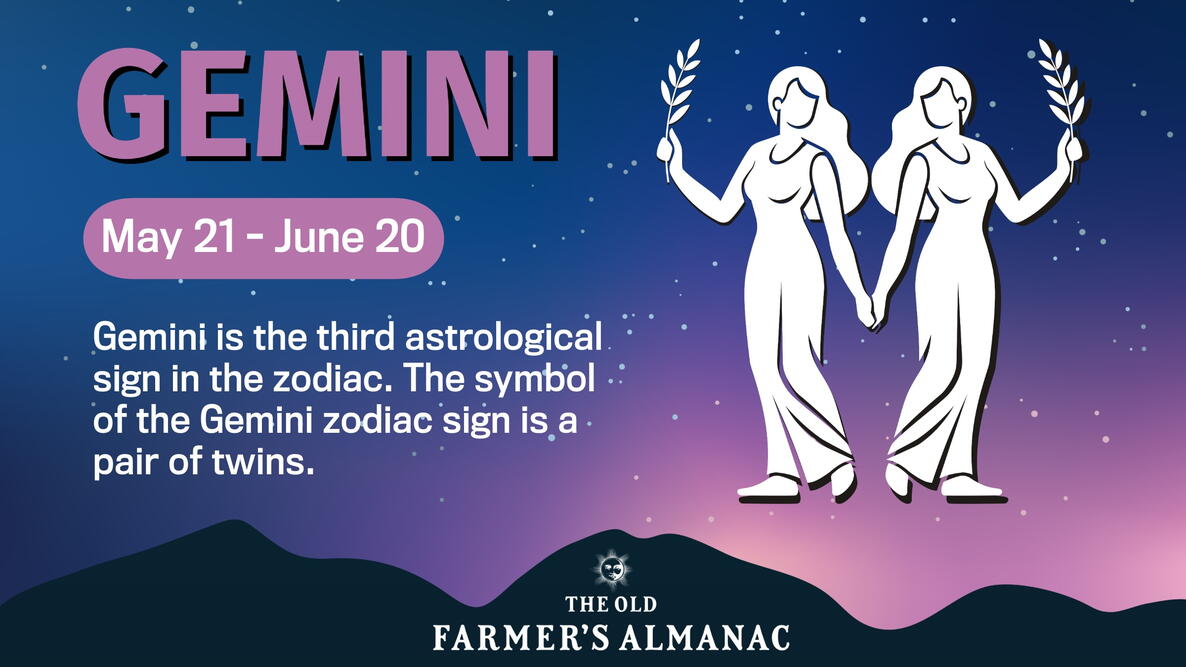 Illustration of the Gemini Twins zodiac symbol