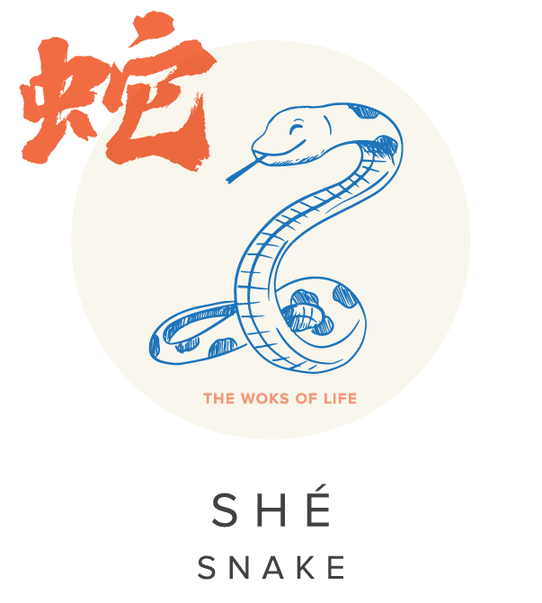 1989 Chinese Zodiac: Earth Snake Guide