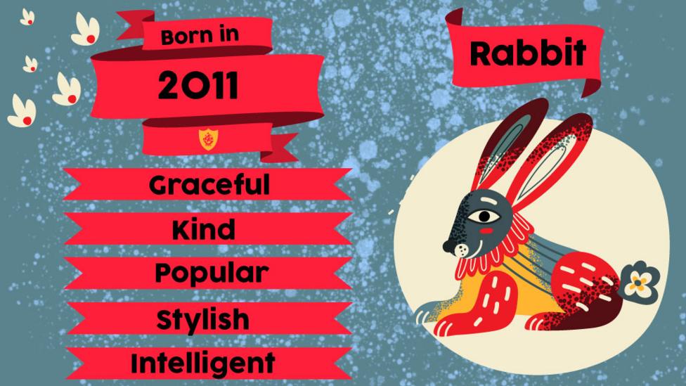 2011 Zodiac Animal: The Metal Rabbit