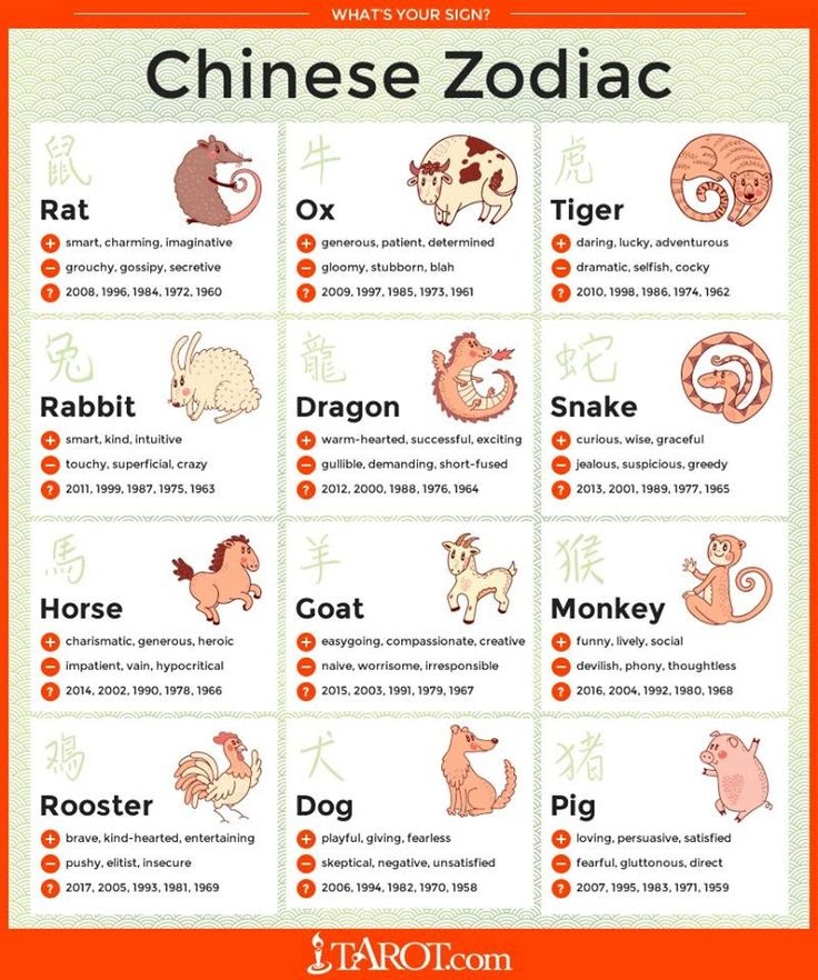 A visual representation asking What is your Chinese Zodiac Sign