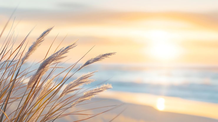 An AI-generated calming sunset beach background