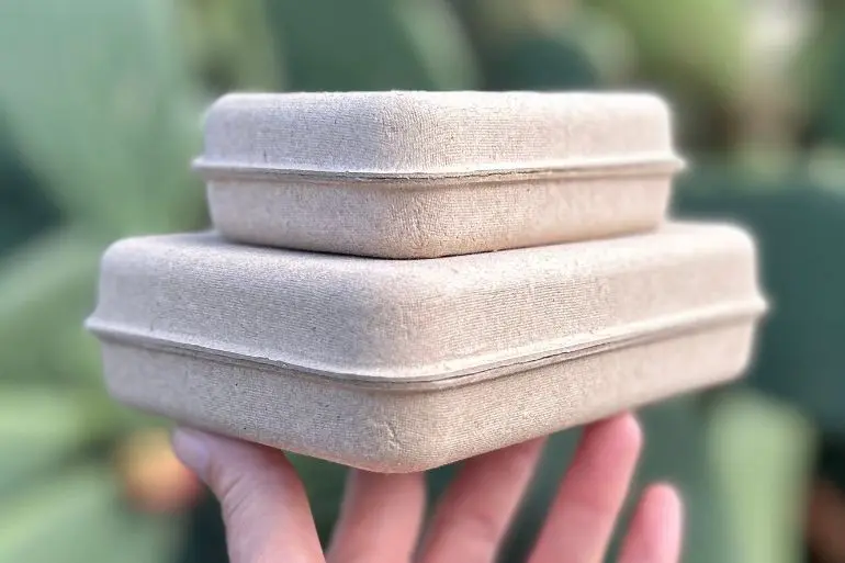 Pulp Example Molded Pulp Products: Design & Costs