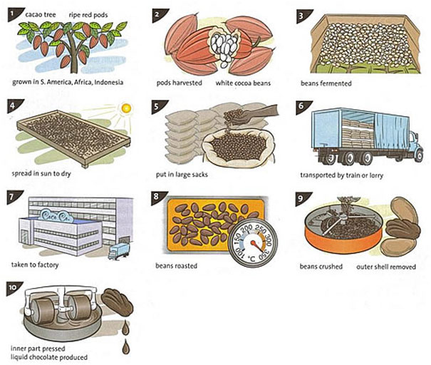 Diagram showing the geographic and industrial process of how chocolate is produced