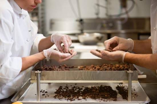 Roasted cocoa beans being processed in a culinary facility