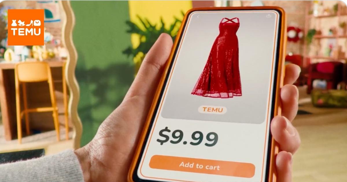 Temu ownership and pricing model overview
